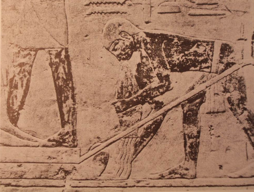 Qu’est-ce que la Tribologie ?